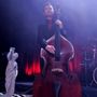 Photo of Hammond Ashley Violins