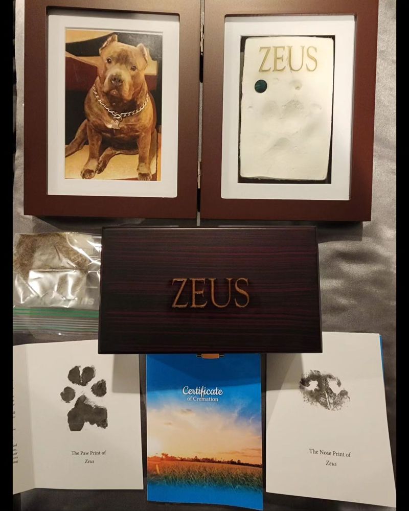 PET PASSAGES PHILADELPHIA Updated October 2024 15 Photos 1330