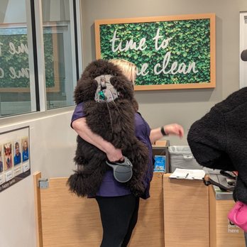 Petco - Checking in because T.Grizzly is a scaredy-cat - Pet Stores Near Me - Charlotte, North Carolina Petco - Checking in because T.Grizzly is a scaredy-cat - Pet Stores Near Me - Charlotte, North Carolina
