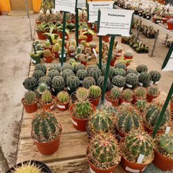 TLC Garden Centers