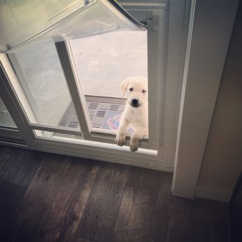 Idaho Pet Door - Fences & Gates Near Me Idaho Pet Door - Fences & Gates Near Me