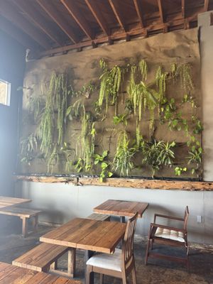 55 Thai Kitchen by null