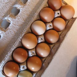 Genesis Growers - CSA Eggs