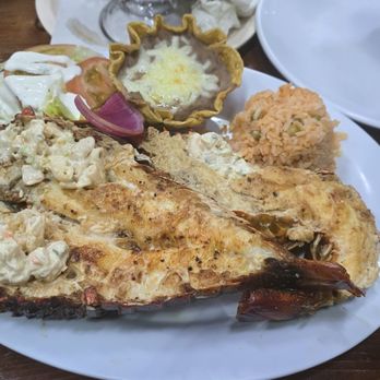 El Primo Nava - Seafood Near Me - Ensenada, BCN