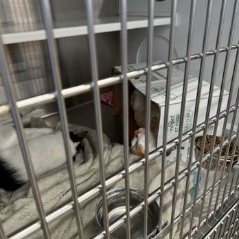 Petsense - Pet Stores Near Me - Choctaw, Oklahoma Petsense - Pet Stores Near Me - Choctaw, Oklahoma