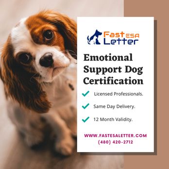 Fast ESA Letter - Pet Services Near Me - Sacramento, California Fast ESA Letter - Pet Services Near Me - Sacramento, California