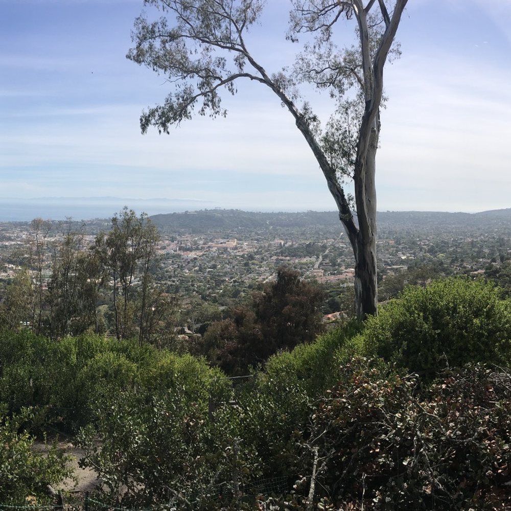 Another shot of the view