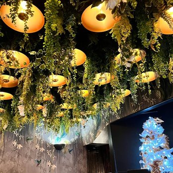 Sticky Mango - Asian Fusion Near Me - London, XGL