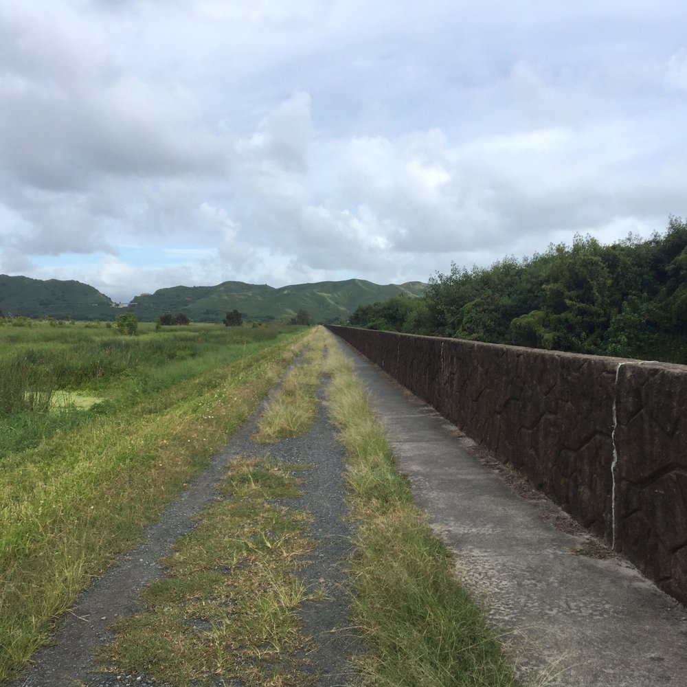 Kawainui Marsh Trail - Three paths--one concrete and two in the gravel - Hiking Near Me - Kailua, Hawaii