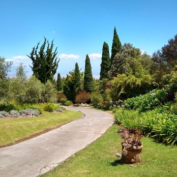 Ali'i Kula Lavender - More beautiful sites in the garden - Tours Near Me - Kula, Hawaii Ali'i Kula Lavender - More beautiful sites in the garden - Tours Near Me - Kula, Hawaii
