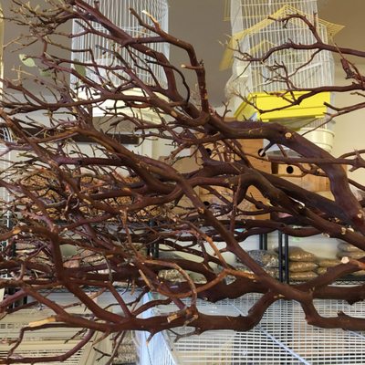 Carol's Pet Center by null