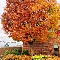 Midvale Golf & Country Club - Autumn splendor