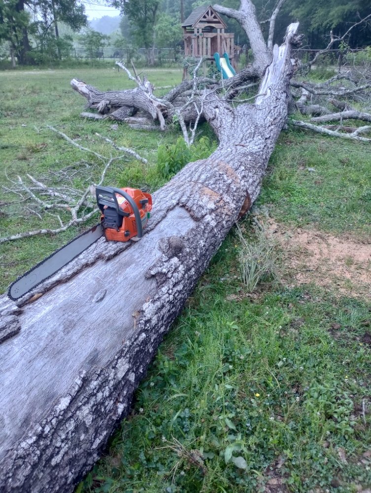CLARY’S CUT’S Request Consultation New Caney, Texas Tree Services