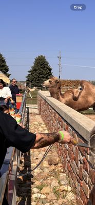 Goebbert's Farm Pingree Grove by null