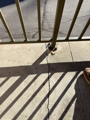 Travelodge by Wyndham Bishop by null