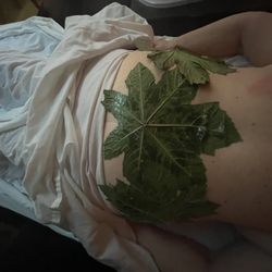 The OC Ayurveda - Back treatment
