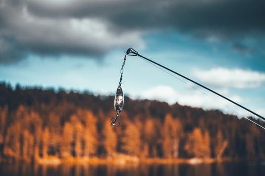 Country Bait & Tackle Logo