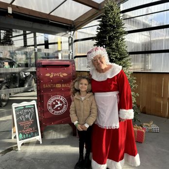 Knutson Farms - Precious Mrs claus during Christmas season at the farm - Farms Near Me - Sumner, Washington Knutson Farms - Precious Mrs claus during Christmas season at the farm - Farms Near Me - Sumner, Washington
