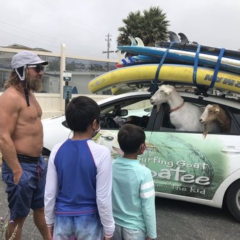 The Surfing Goats - Surfing Near Me - Pismo Beach, California