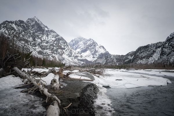 Eagle River Nature Center by null