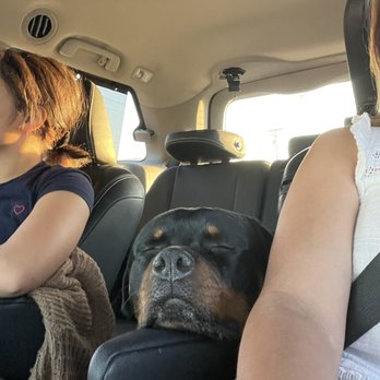 Performance K9 Training - Pet Training Near Me - Bonsall, California Performance K9 Training - Pet Training Near Me - Bonsall, California