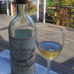 Gato Blanco - Suavignon blanc