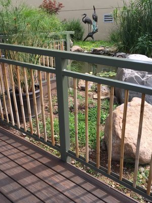 Amarillo Botanical Gardens by null
