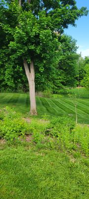 Check out our work! - Welcome to Alex Landscaping, your full service landscaping professionals. Call or message us now
for a consultation! Check out our work! - Welcome to Alex Landscaping, your full service landscaping professionals. Call or message us now
for a consultation!