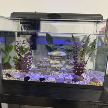 Petco - Pet Stores Near Me - Indio, California