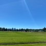 Photo of Inland Sod
