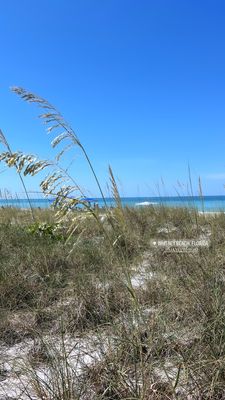 Longboat Key by null