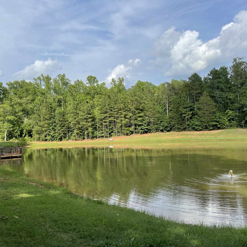 Spacious Skies Campgrounds - Peach Haven - RV Parks Near Me - Gaffney, South Carolina Spacious Skies Campgrounds - Peach Haven - RV Parks Near Me - Gaffney, South Carolina