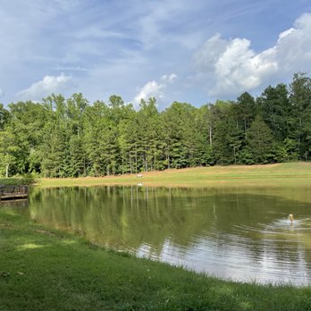 Spacious Skies Campgrounds - Peach Haven - RV Parks Near Me - Gaffney, South Carolina Spacious Skies Campgrounds - Peach Haven - RV Parks Near Me - Gaffney, South Carolina