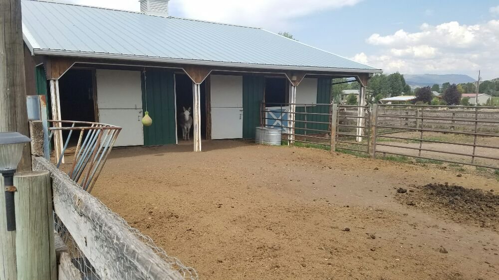 Slide of Drains 24/7