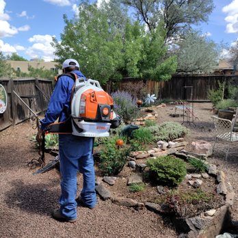 Henry’s Tree Experience - Landscape Architects or Designers Near Me