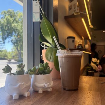 Chocolate Fish Coffee Roasters - Salty Carmel Mocha - Coffee & Tea Near Me - Livermore, California