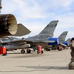 Watson & Associates - military government contracts