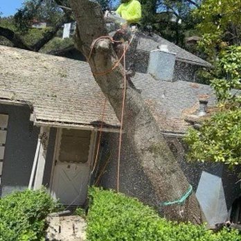 All Terrain Tree Service - Tree Services Near Me - Sacramento, California