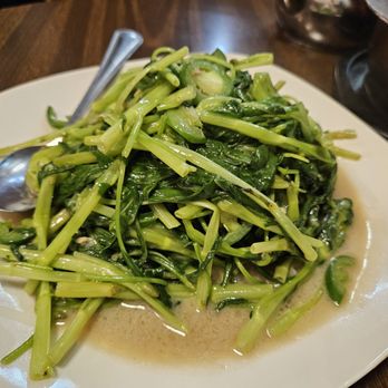 Yee's Cantonese Kitchen - Omg Choy - Cantonese Near Me - Chicago, Illinois