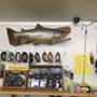 Photo of Float'n'fish
