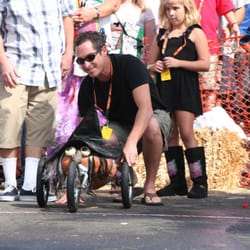 Manhattan Beach Pumpkin Races - Racers