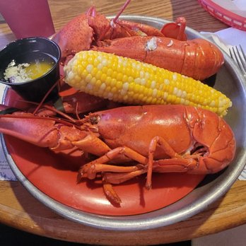 Lobster Haven - Two 1 pound Lobsters with Corn on the Con and Potatoes. - Seafood Near Me - Tampa, Florida