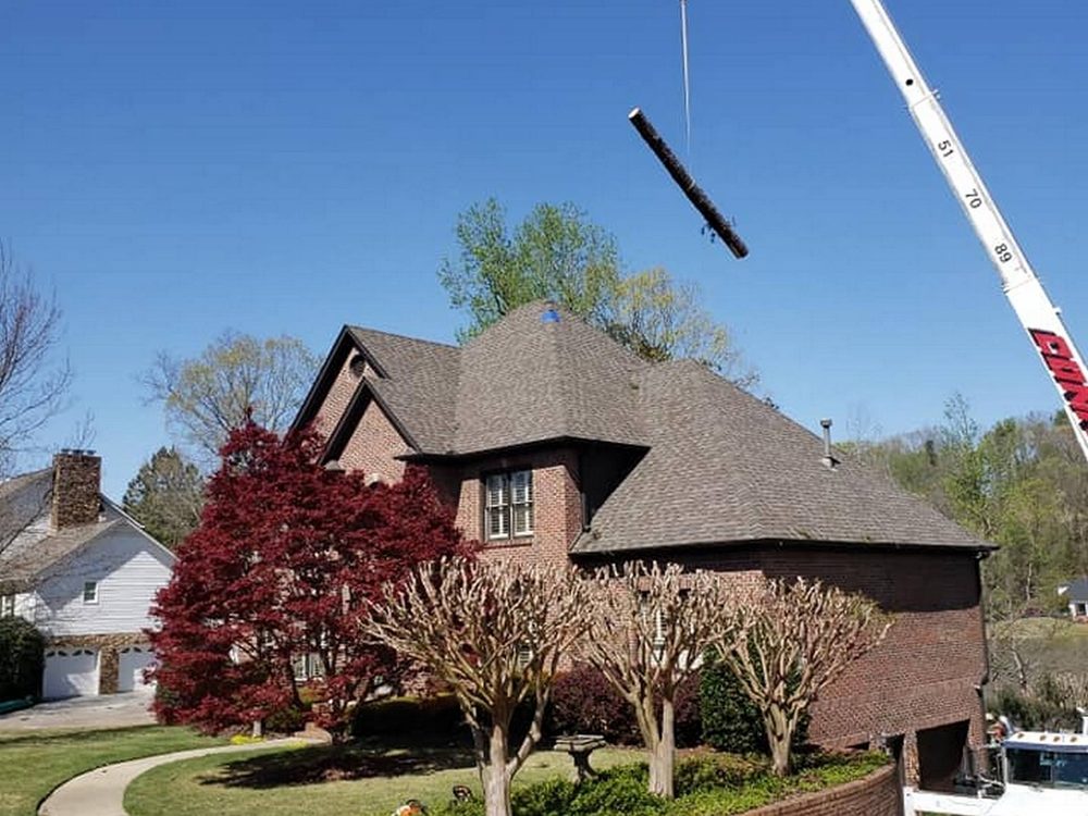 Myers Tree Service - tree service in Pelham, AL