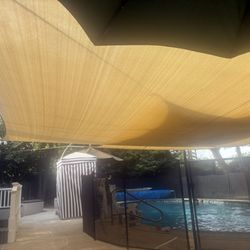 Water Otters Swim School