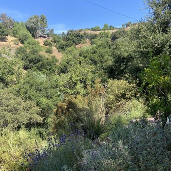 Cafe on 27 - View from our table - Breakfast & Brunch Near Me - Topanga, California Cafe on 27 - View from our table - Breakfast & Brunch Near Me - Topanga, California