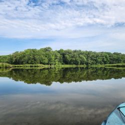 Chesapeake Paddle Sports