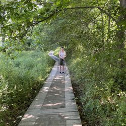 Rockbridge State Nature Preserve - Trail in.. lulled is into a sense of 'yes, what a nice beginner hike!'