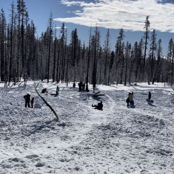 Tamarack Sno-Park - Husband taking a sharp left turn down the slope - Sledding Near Me - Shaver Lake, California