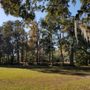 Photo of Old Fort Park