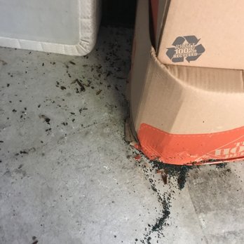CubeSmart Self Storage - Major rat and roach droppings - Self Storage Near Me - Austin, Texas